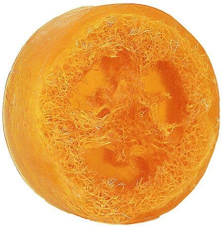 Coconut Water Loofah Soap (4 oz)