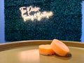 Florida Fresh Hair Conditioner Bar | Naples Soap Company
