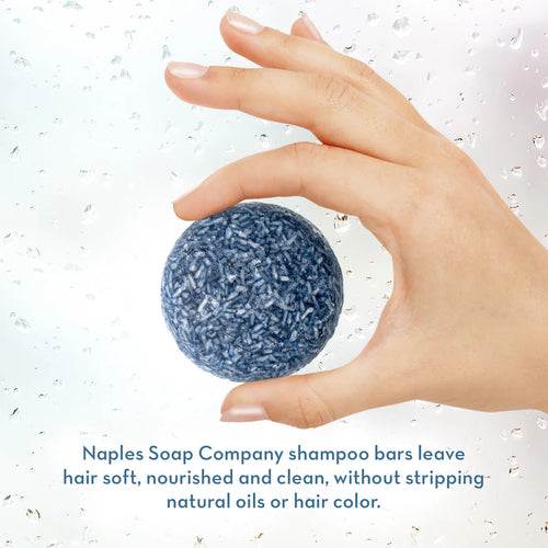 Boyfriend Shampoo Bar | Naples Soap Company