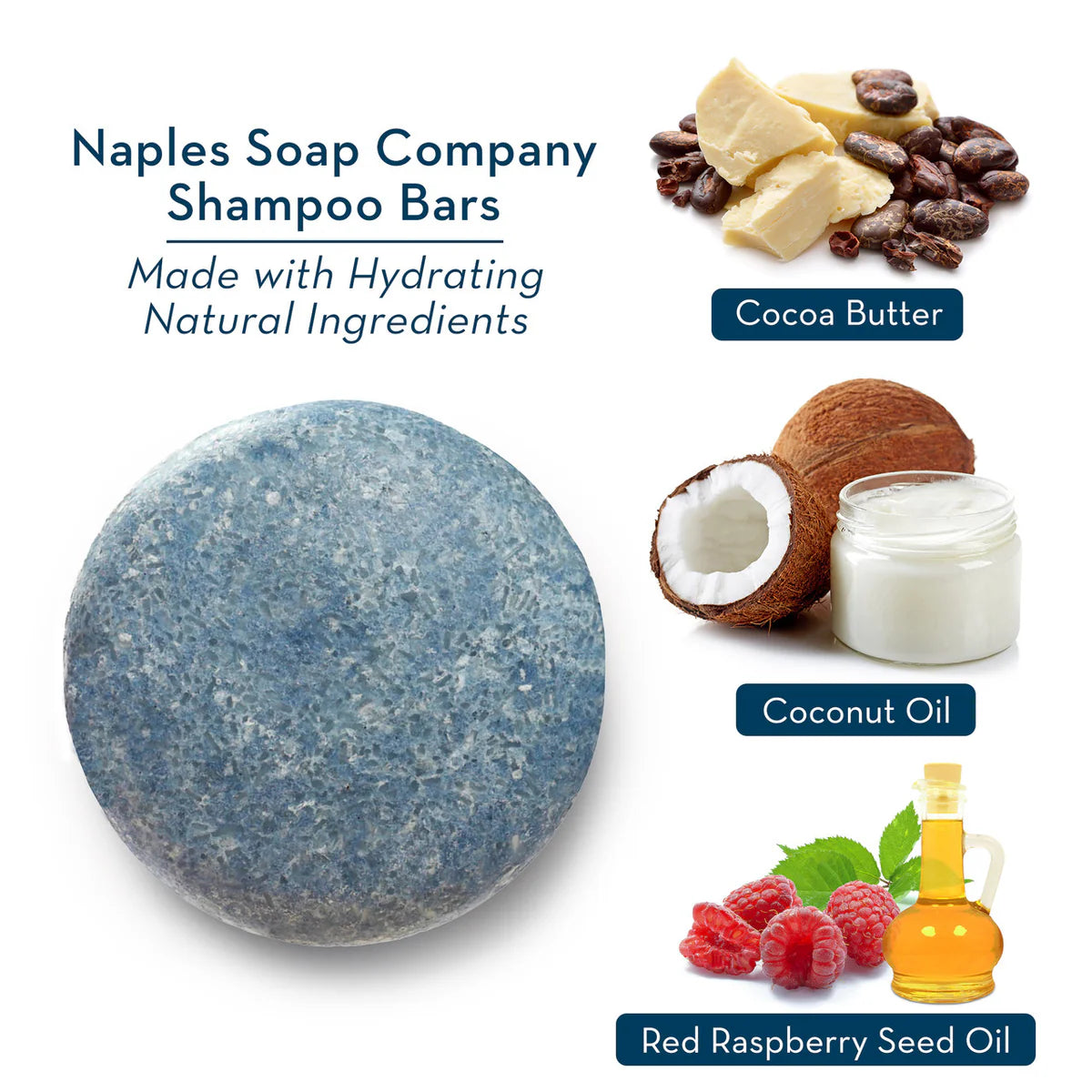 Boyfriend Shampoo Bar | Naples Soap Company