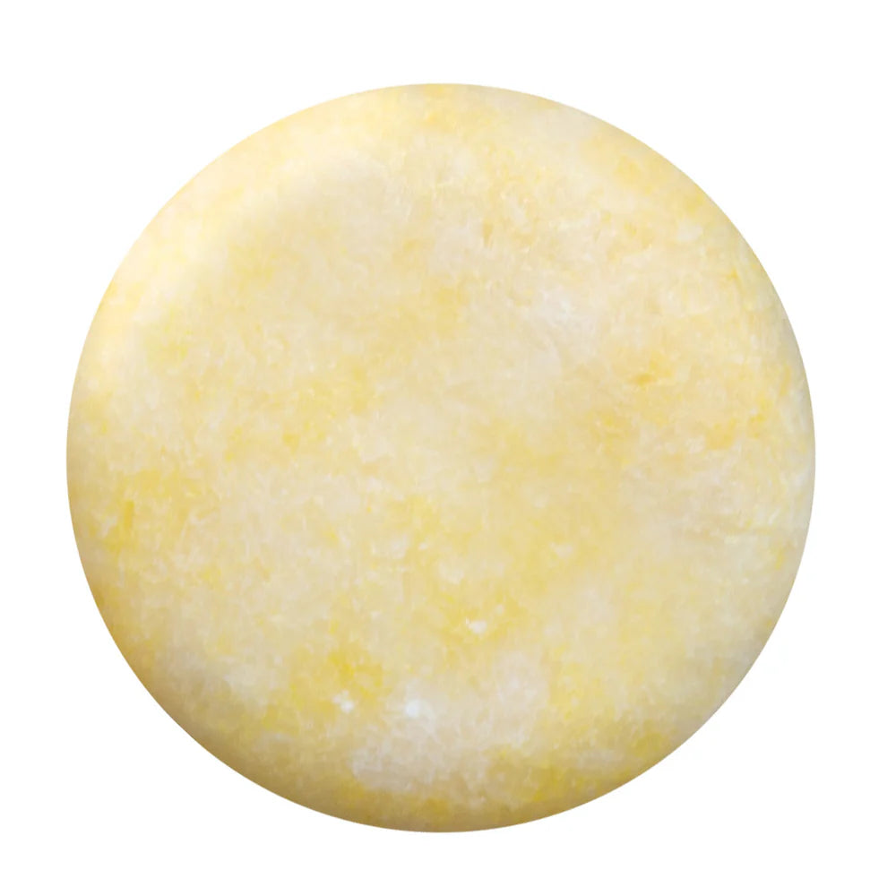 Coconut Water Shampoo Bar | Naples Soap Company